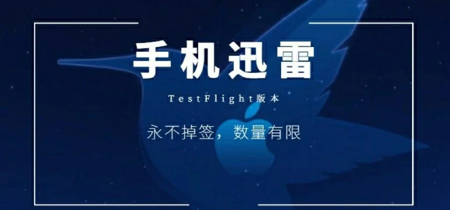 迅雷免费会员，便捷下载，畅享网络资源新体验-第2张图片
