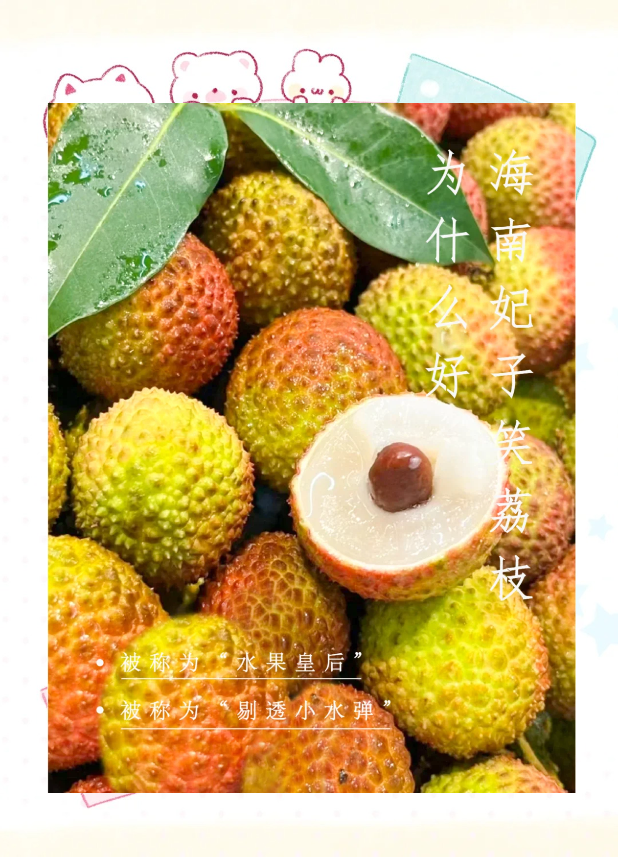 荔枝的诱惑与探索