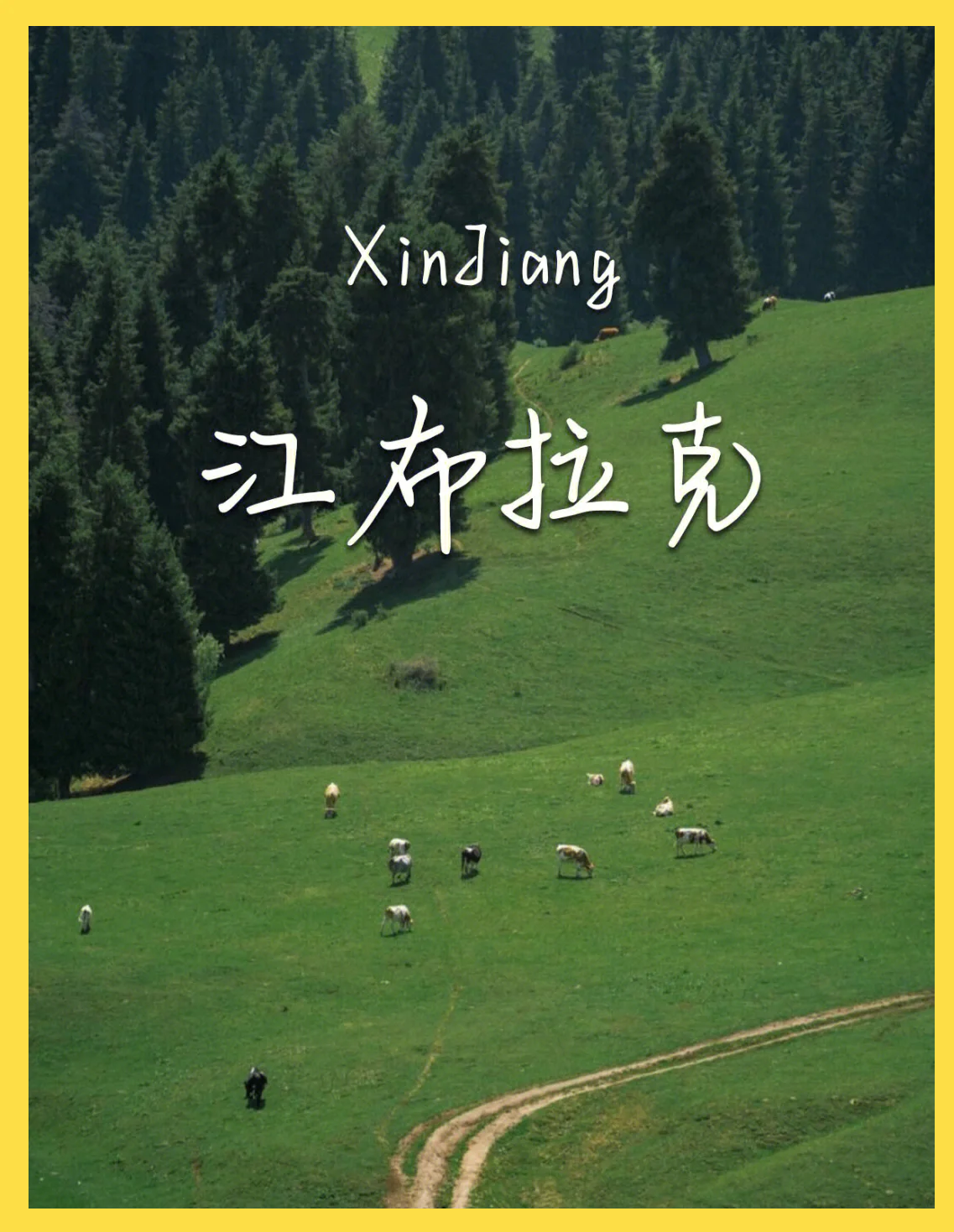 探索天堂8中文在线最新版，数字时代的娱乐新篇章-第2张图片