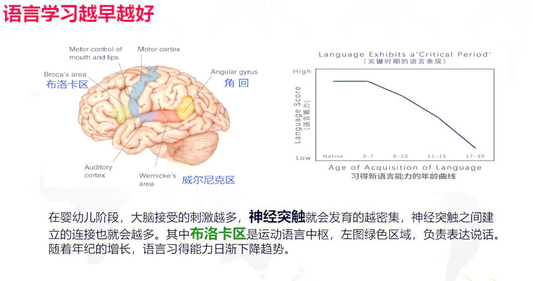 Autocad学习之路，优质网站的探索与选择