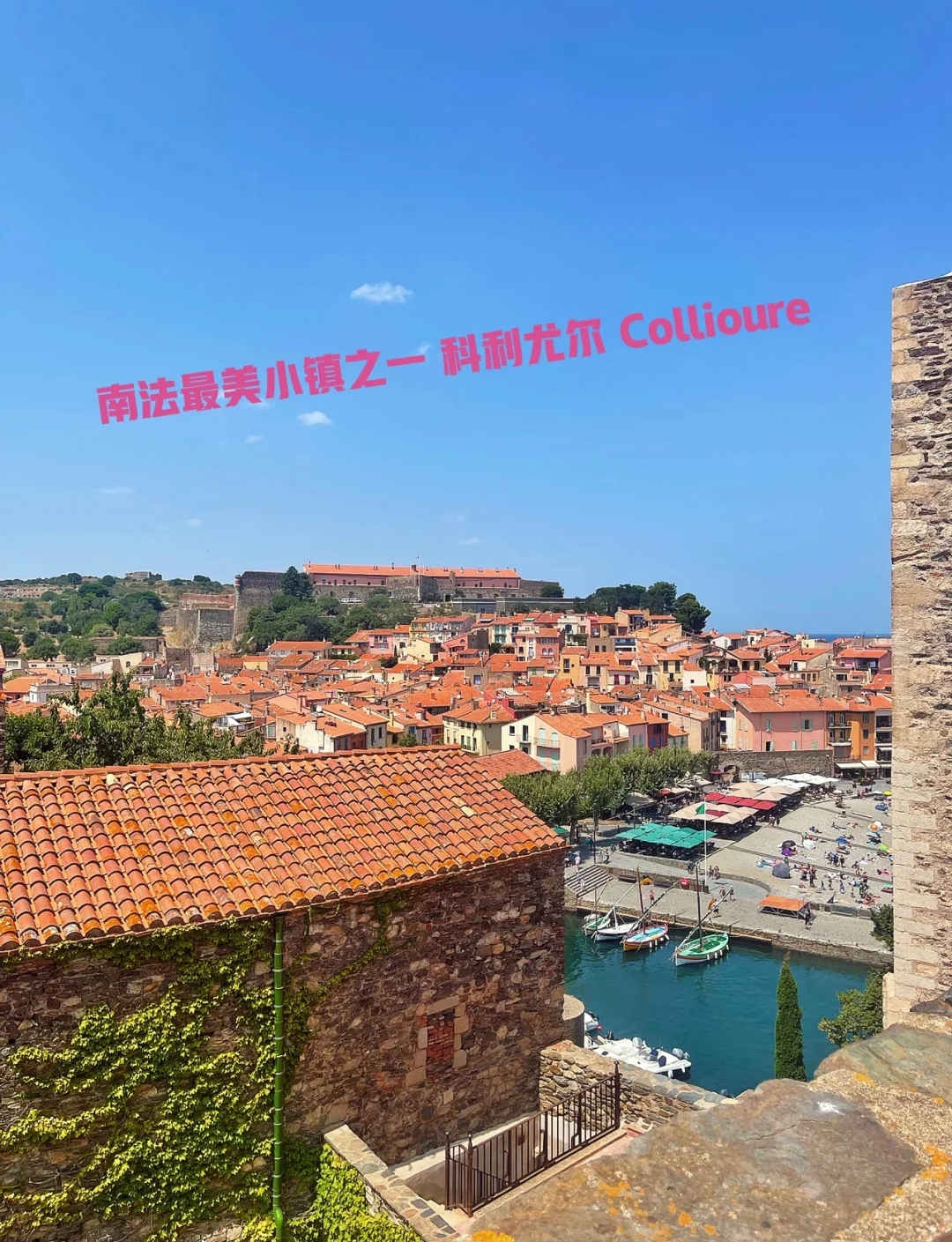 探索caoporen的魅力，个人免费公开的独特之处