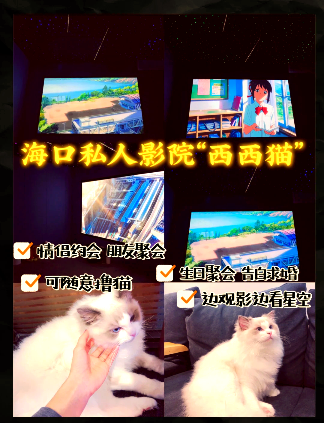 撸撸看影院的魅力之旅