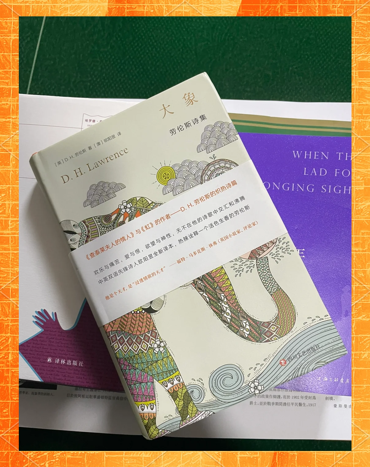 H小说合集下载网H小说合集下载，探索与体验的双重乐趣