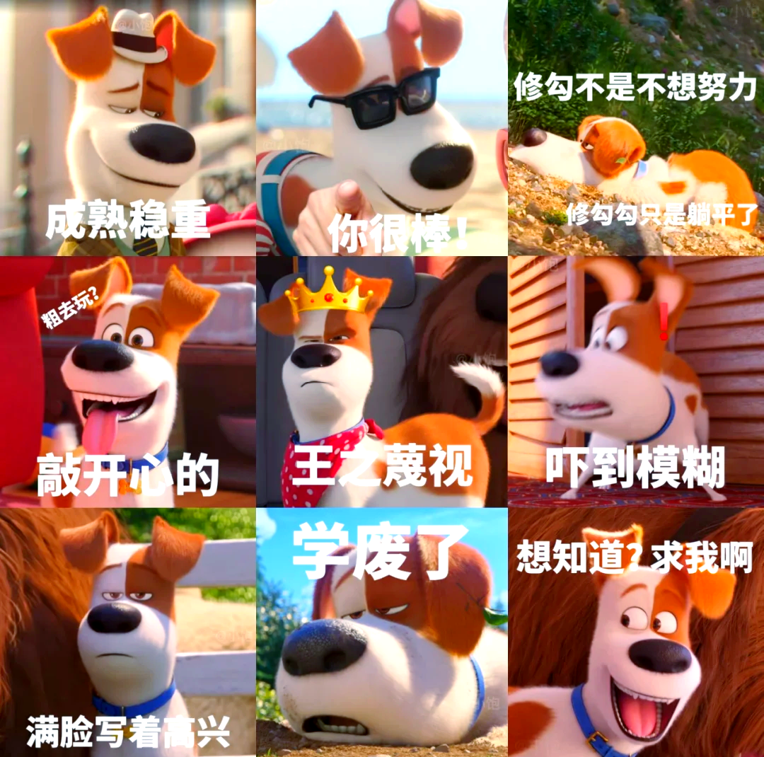 狗狗东西在里面突然变大了是为什么狗狗突然变大的奇妙经历-第2张图片