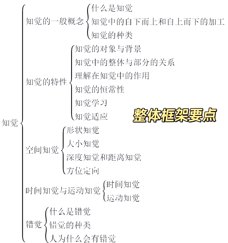 探索身体奥秘，紧致、愉悦与湿润的独特体验-第2张图片
