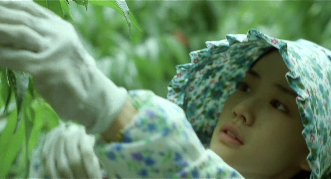 亚洲欧美精品SUV苍井优亚洲与欧美精品SUV的碰撞与融合——苍井优的独特视角-第2张图片