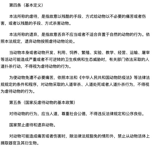 女虐女现象的深度解析