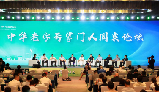 中华字典在线查询，传承与创新的智慧宝库