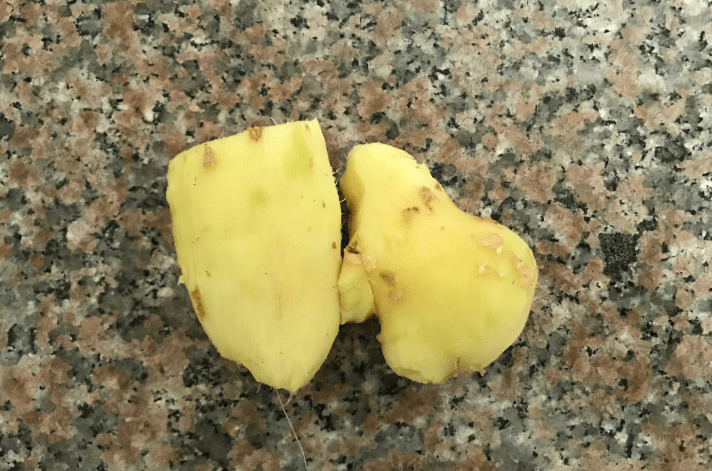 豆浆撞奶羊马它PO豆浆撞奶羊马它PO的奇妙故事-第2张图片