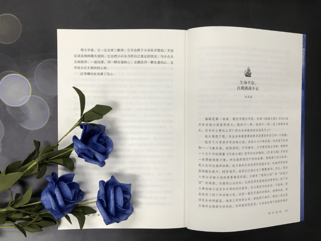 开船片段原声海浪之歌，全程开船的剧原声父子-第3张图片