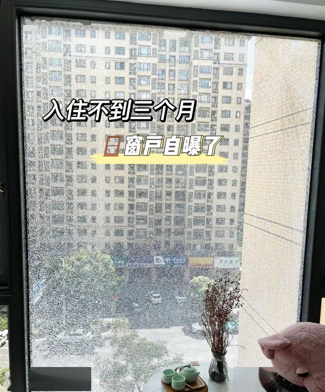 导演张津张津瑜920落地窗视频的名称与背后故事