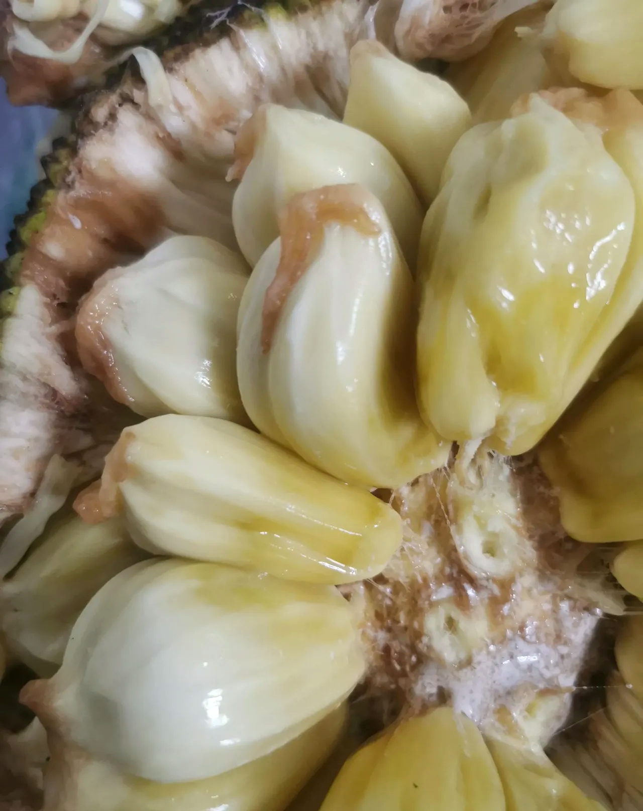 菠萝蜜视频app在线观看探索菠萝蜜视频app的在线观看体验-第3张图片