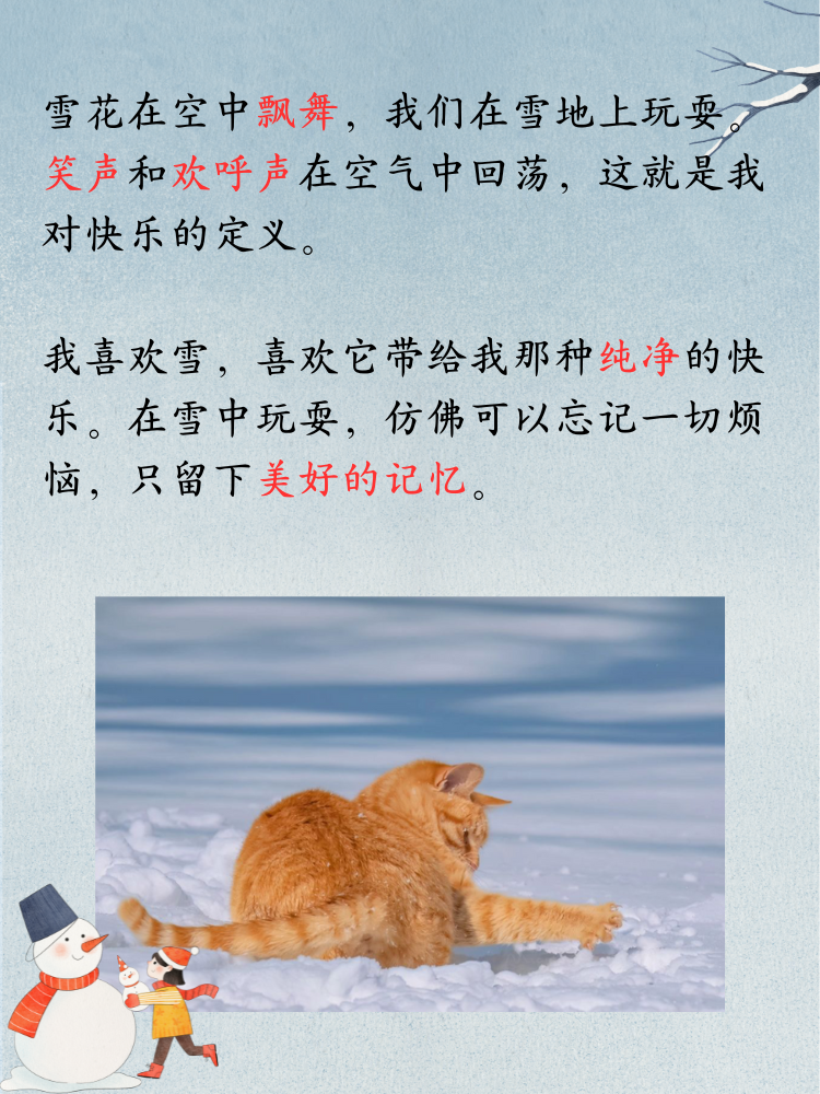 扑克之夜，哼哼声中的乐趣与欢笑-第3张图片