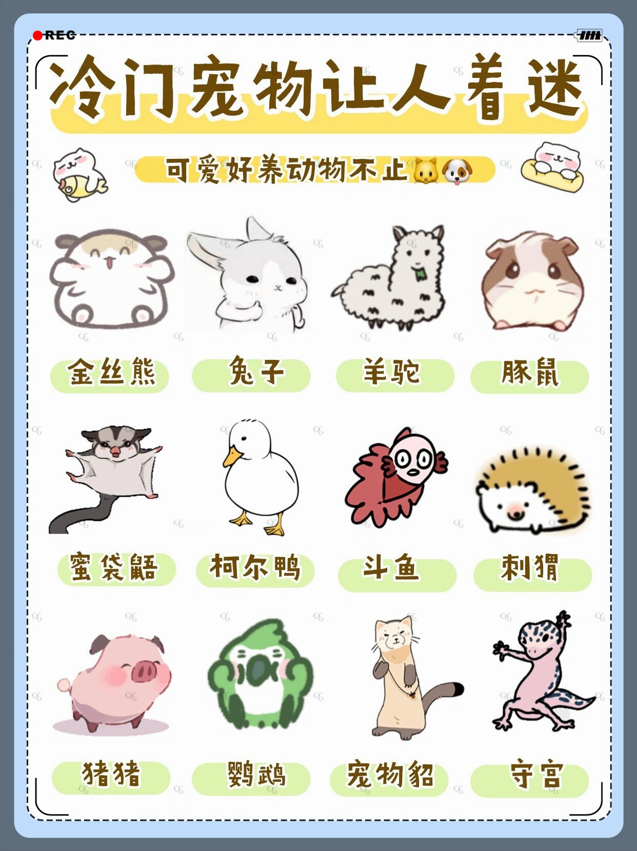 探索WRITEAS小玩具的魅力与乐趣