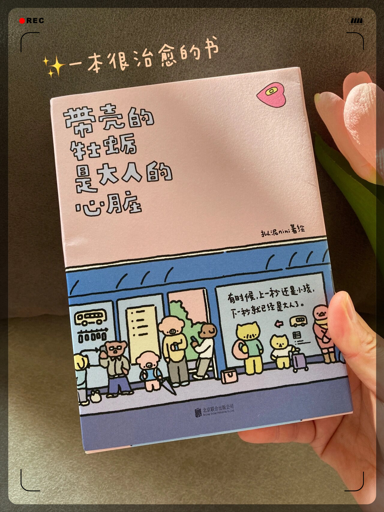 关于成人视频内容的探讨，一区二区三区的理解与思考