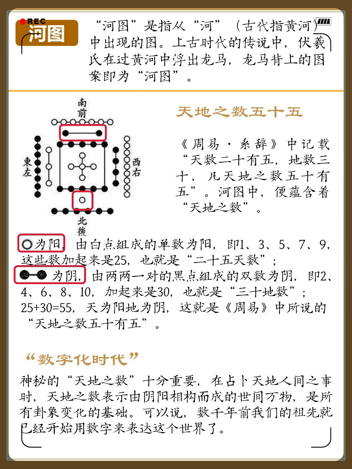 龙御之谜，探寻神秘力量的起源