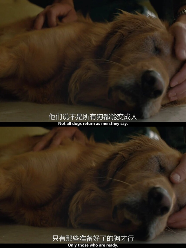 我爱看片——电影与生活的纽带