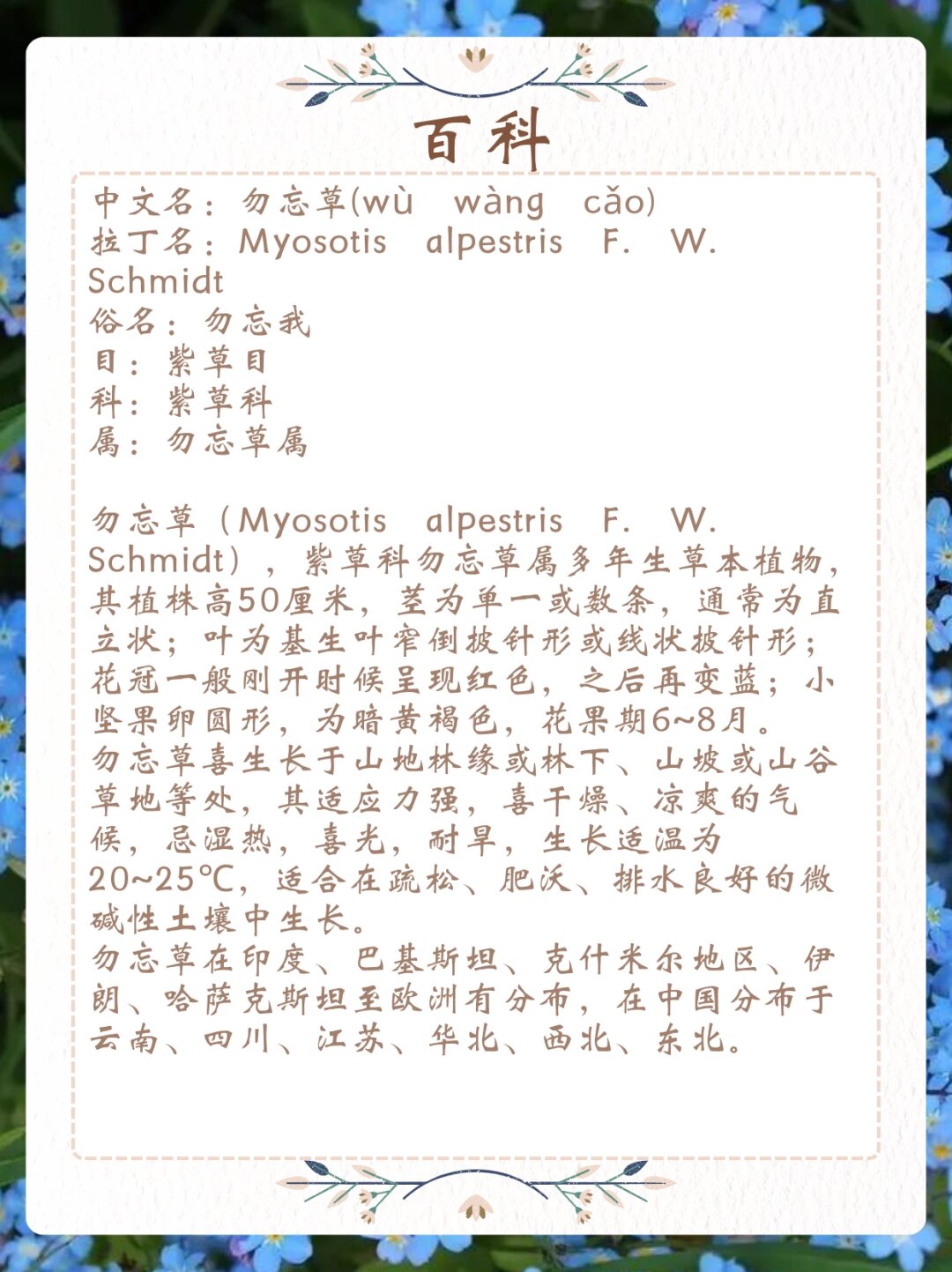 玉势与珠串的魅力，撑开男男之间的情感世界-第3张图片