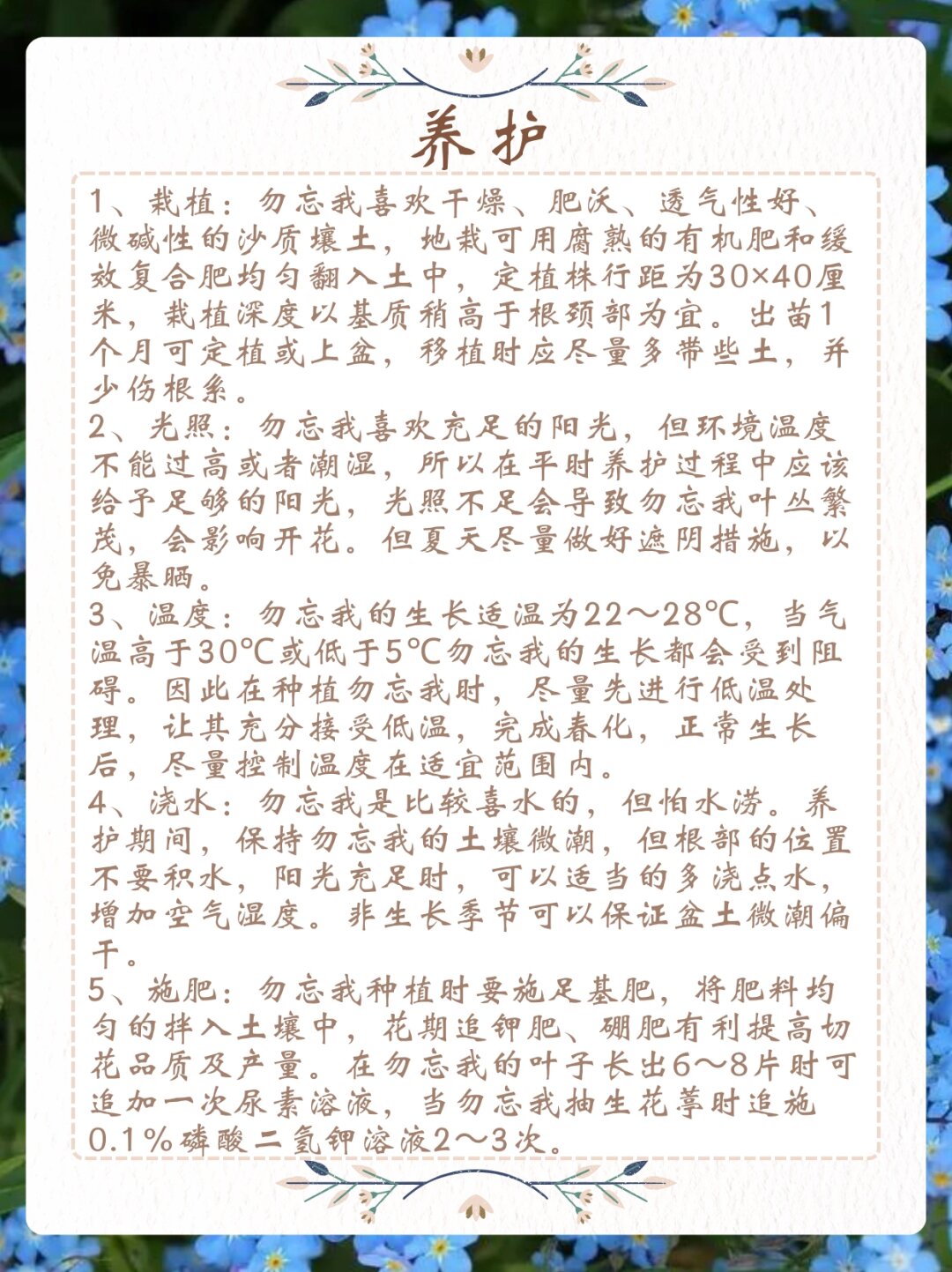 玉势与珠串的魅力，撑开男男之间的情感世界-第1张图片