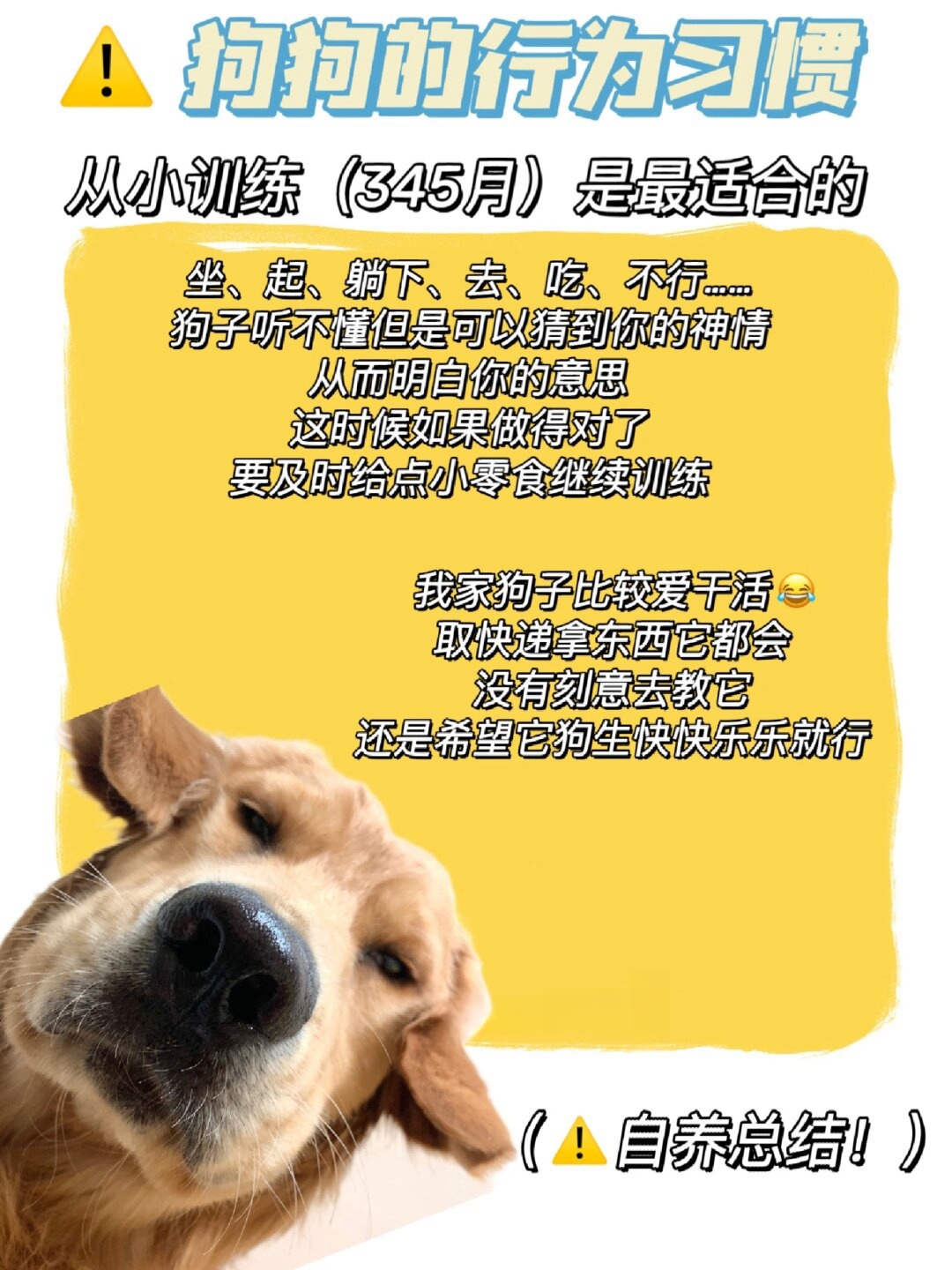 狗的大东西卡在里面好疼狗狗遭遇困境，又长又大的身躯卡住了，如何解救？-第2张图片