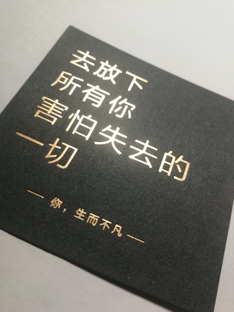 正能量你懂我意思正能量WWW下载破解版正能量，理解其意义并寻找积极的生活方式-第2张图片
