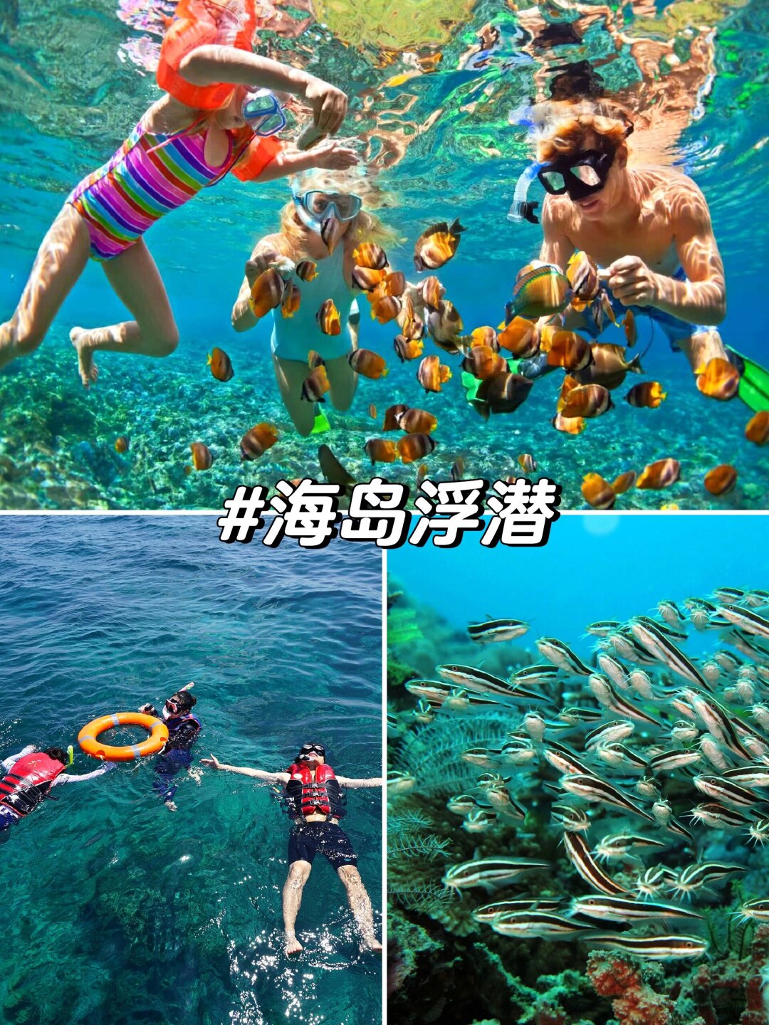曝布图片曝tobu7tobu8入口已免费开放，探索网络世界的全新体验-第2张图片