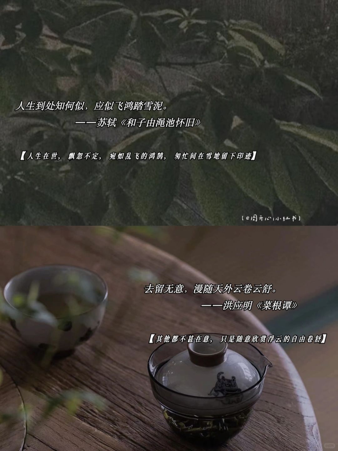 探索文学的边界，又肉又污的黄文-第2张图片