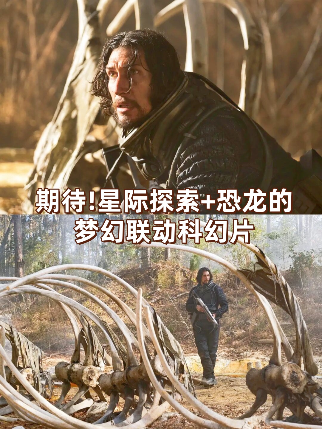 征途205装备，探索未知的冒险之旅
