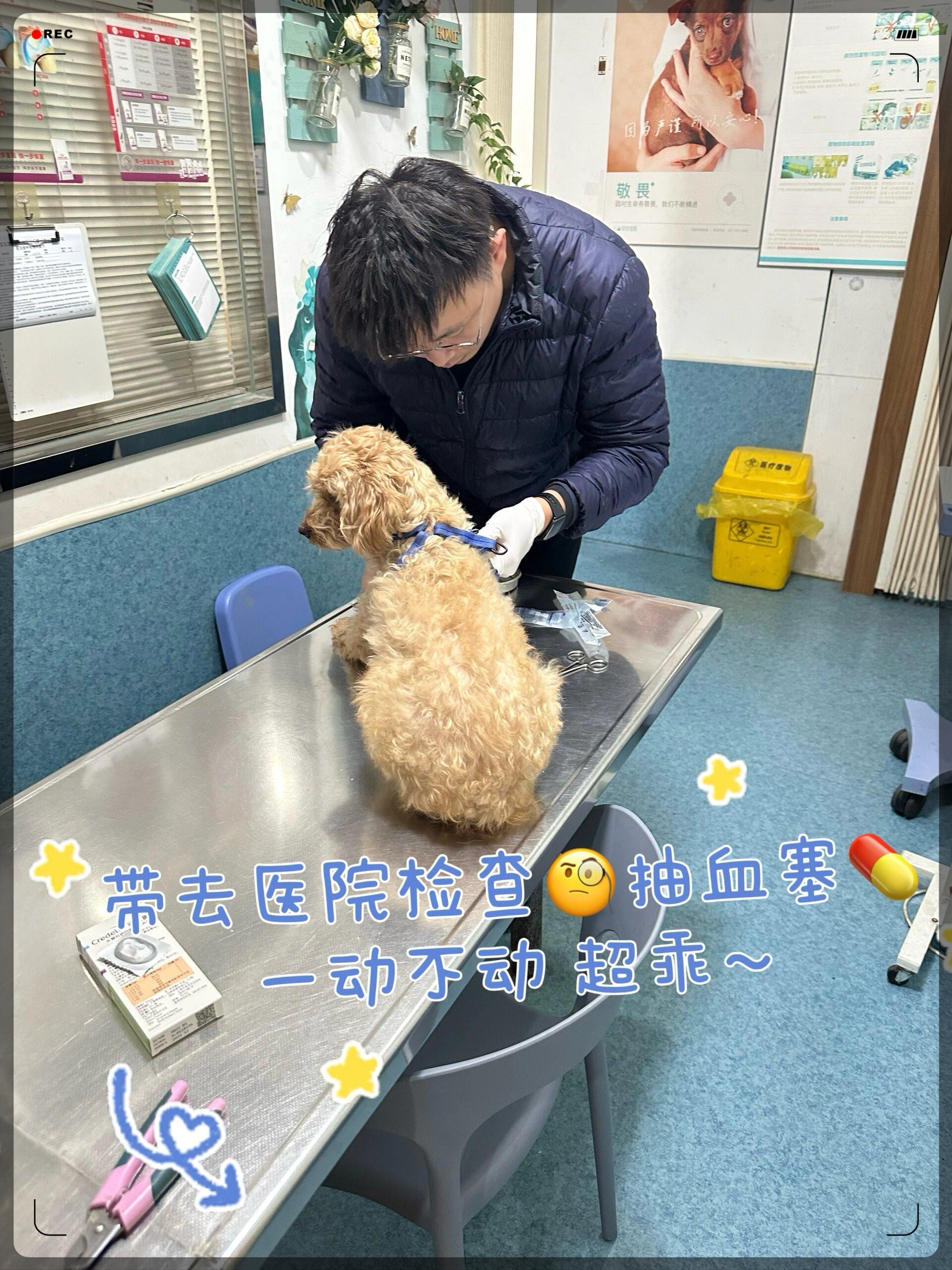 老公不在，找狗狗帮忙-第2张图片