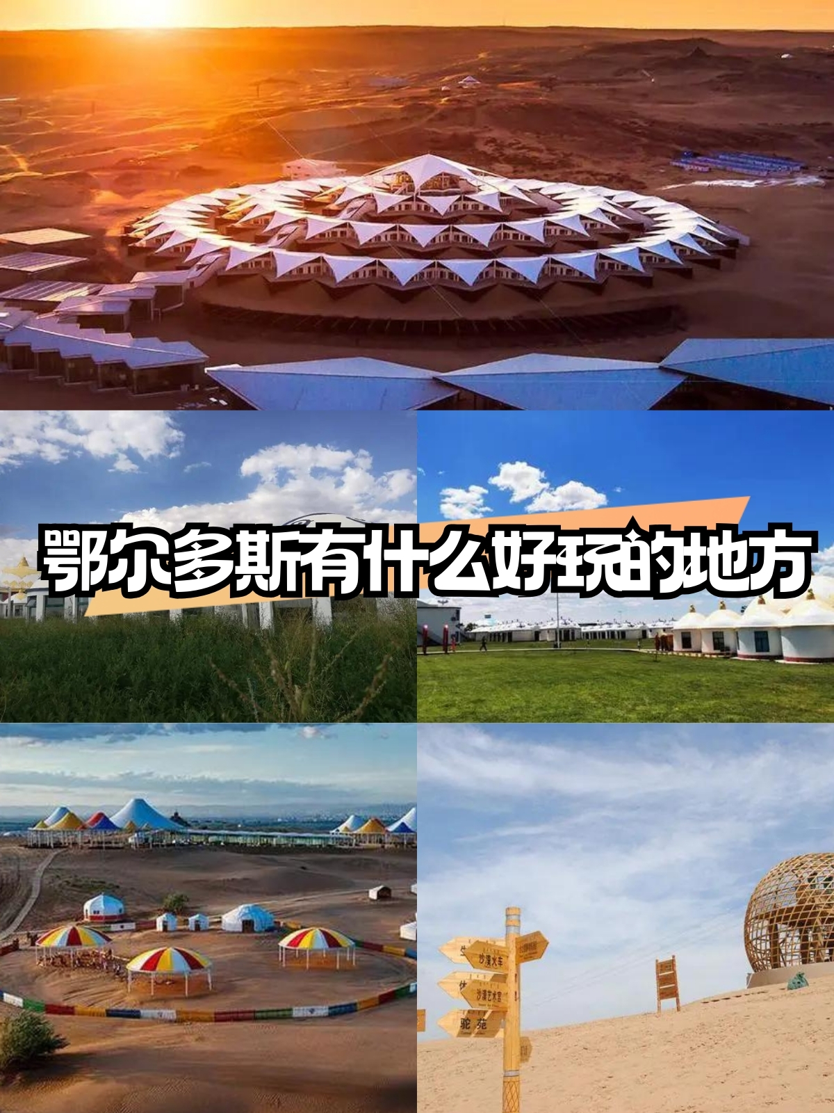 探索大菠萝与福建导航APP，福引导网站的魅力之旅-第2张图片