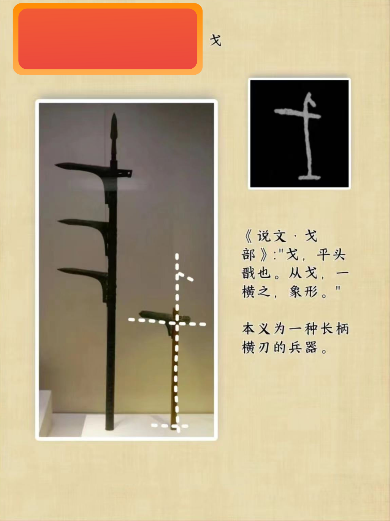 探索晚夜免费活动的魅力与十大亏亏