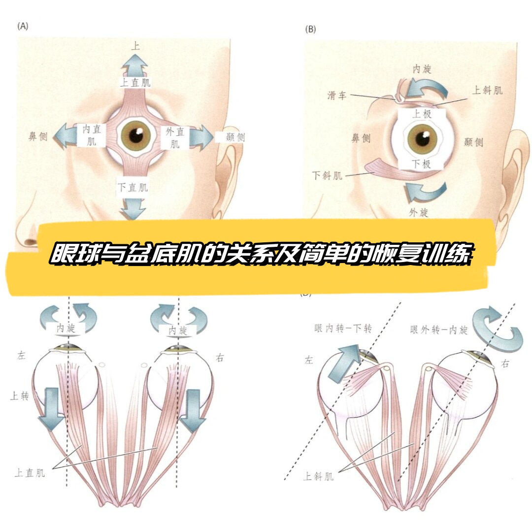 探索B图的奥秘
