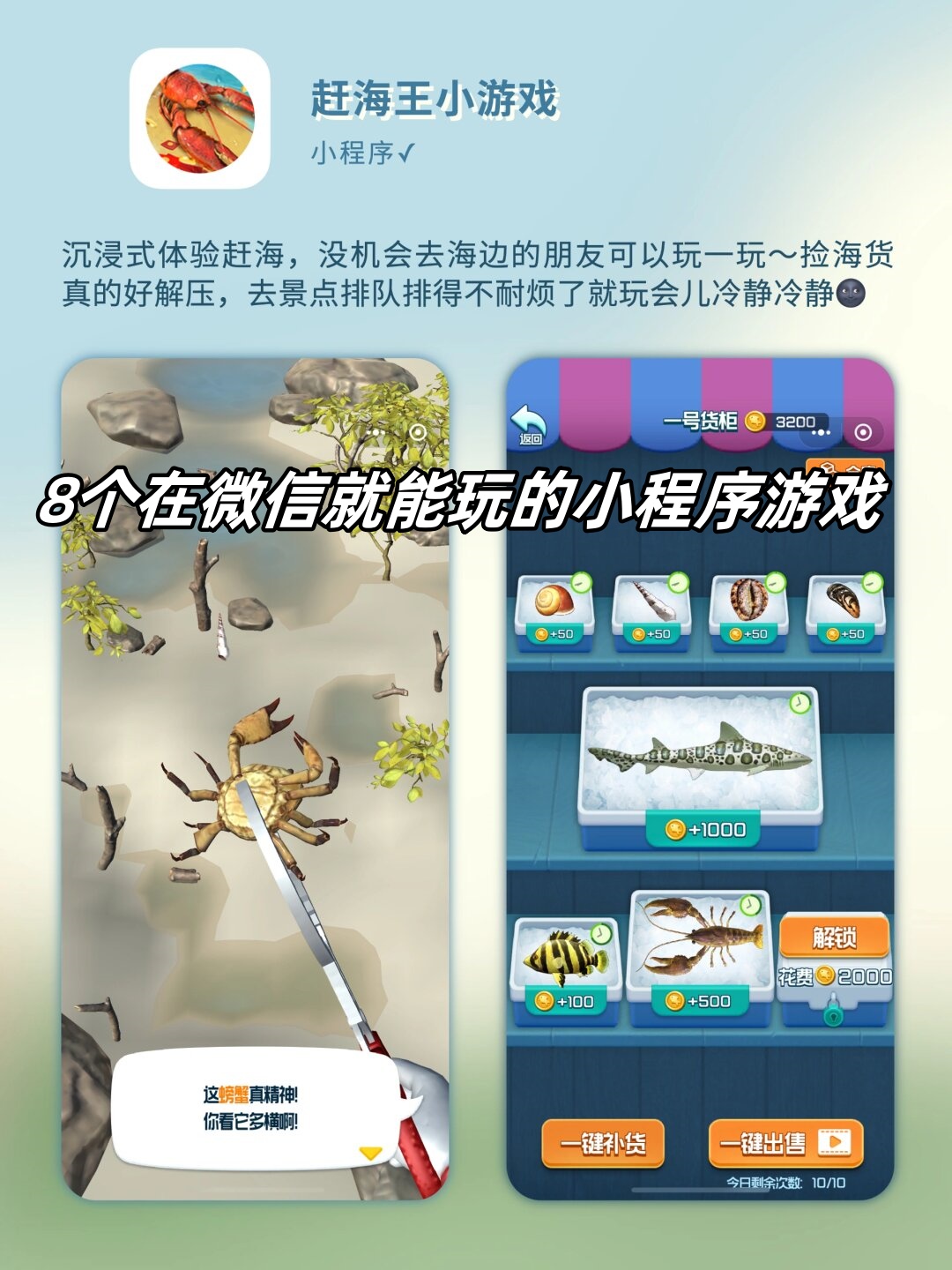 怀孕小游戏的乐趣与意义