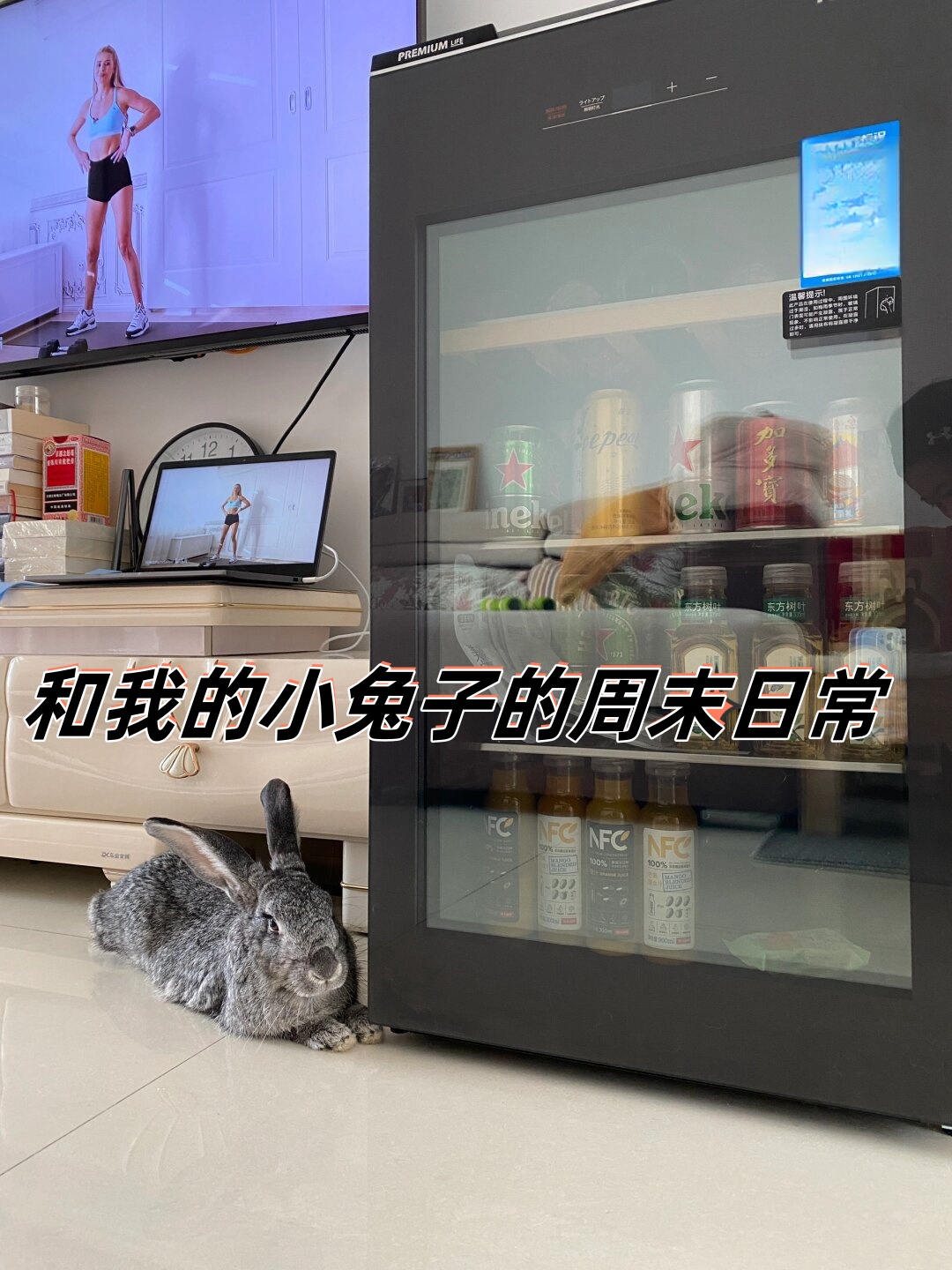我的兔子好软水好多在线视频我的兔子与柔软水世界——探索免费视频的乐趣-第2张图片
