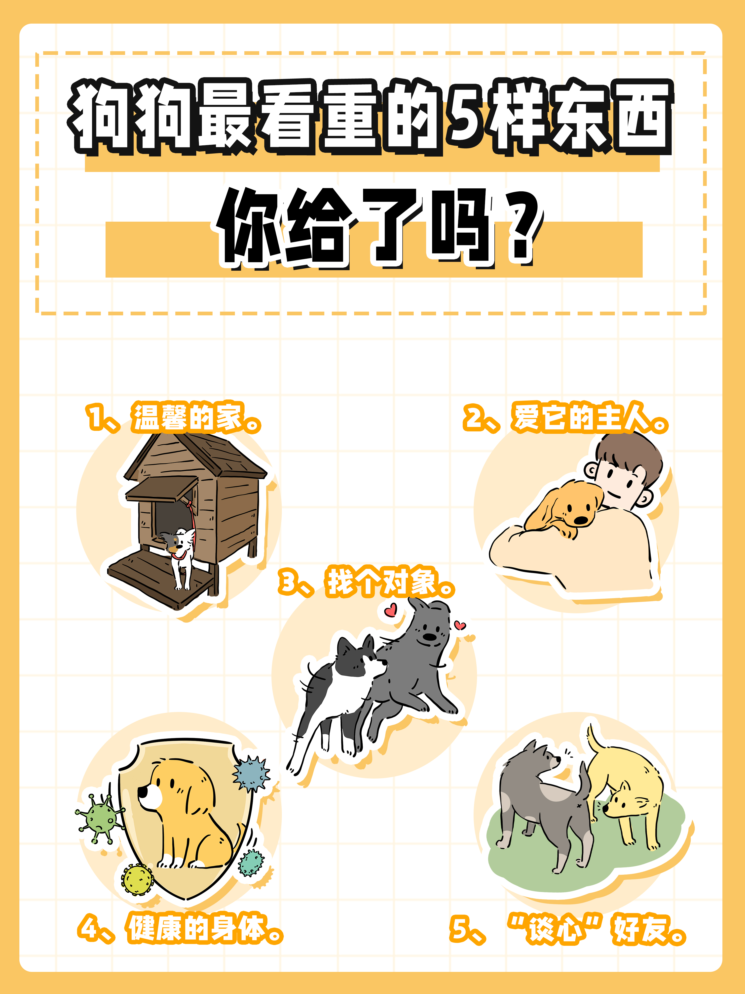 把狗狗的大东西放在里面巧妙利用空间——把狗狗的大东西放在里面-第2张图片