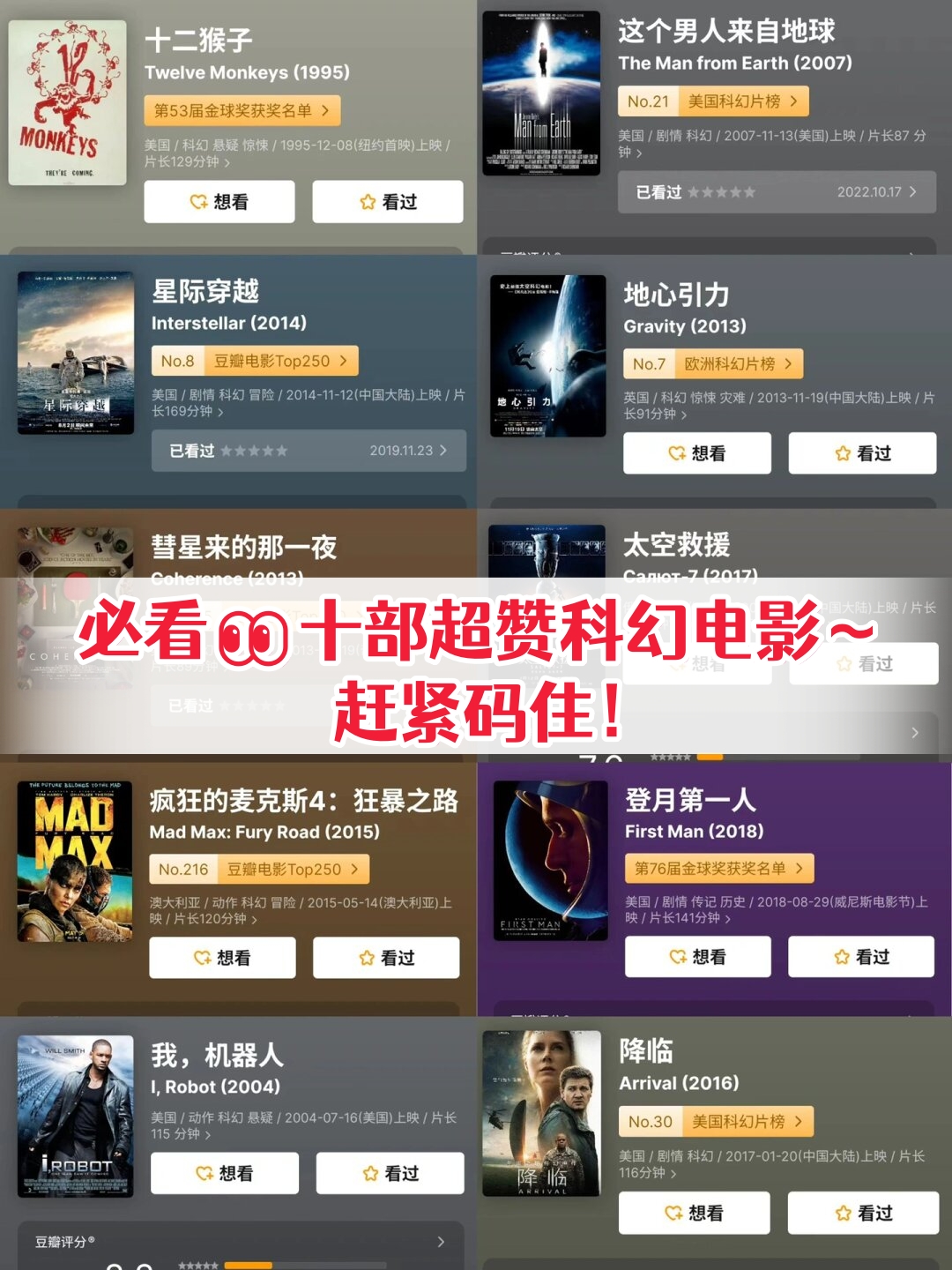 一码的魅力与影响-第1张图片
