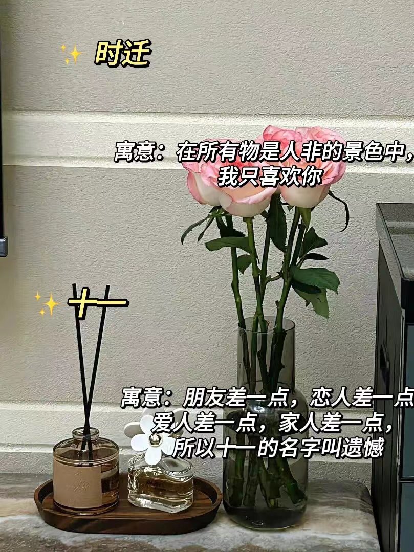 好男人资源大全好男人资源大全，塑造与珍视优质男性品质的宝典-第2张图片