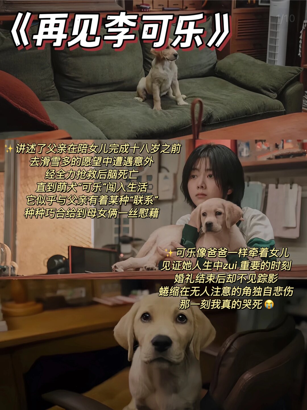 第一次哭个痛快-第2张图片