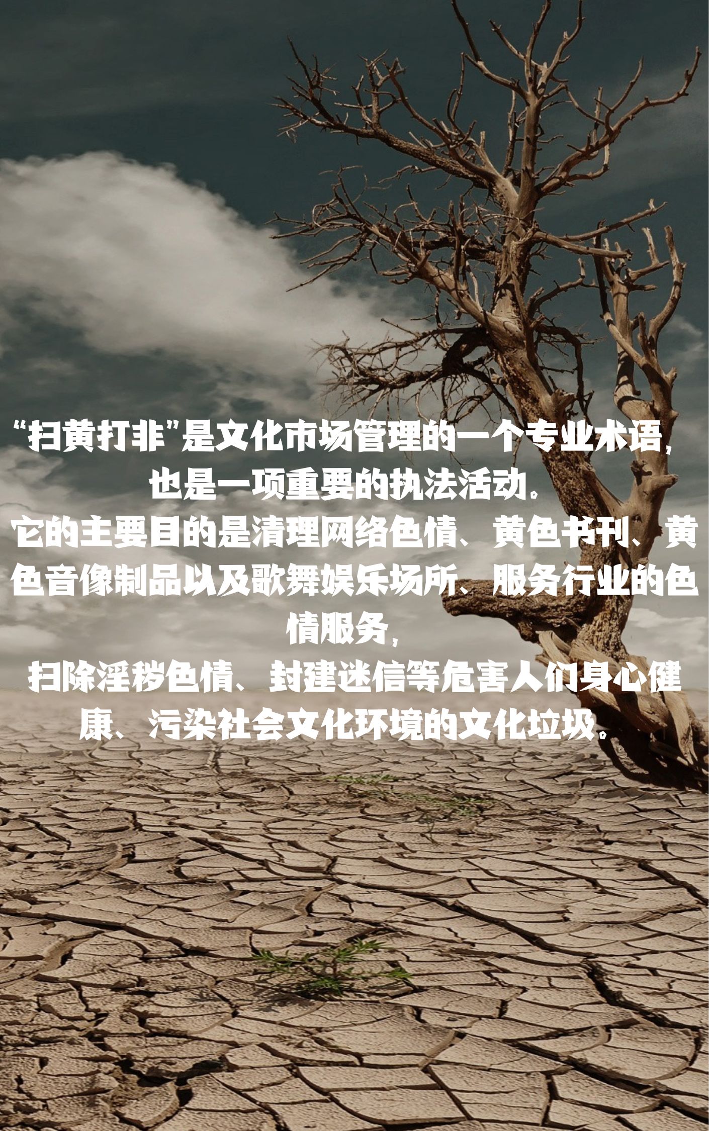 色情综合网，危害与防范-第1张图片