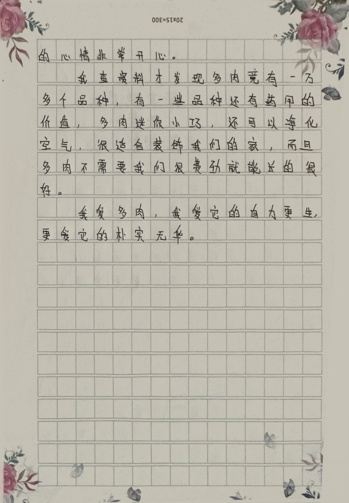 后车座上的温暖作文车行后座，多肉相伴