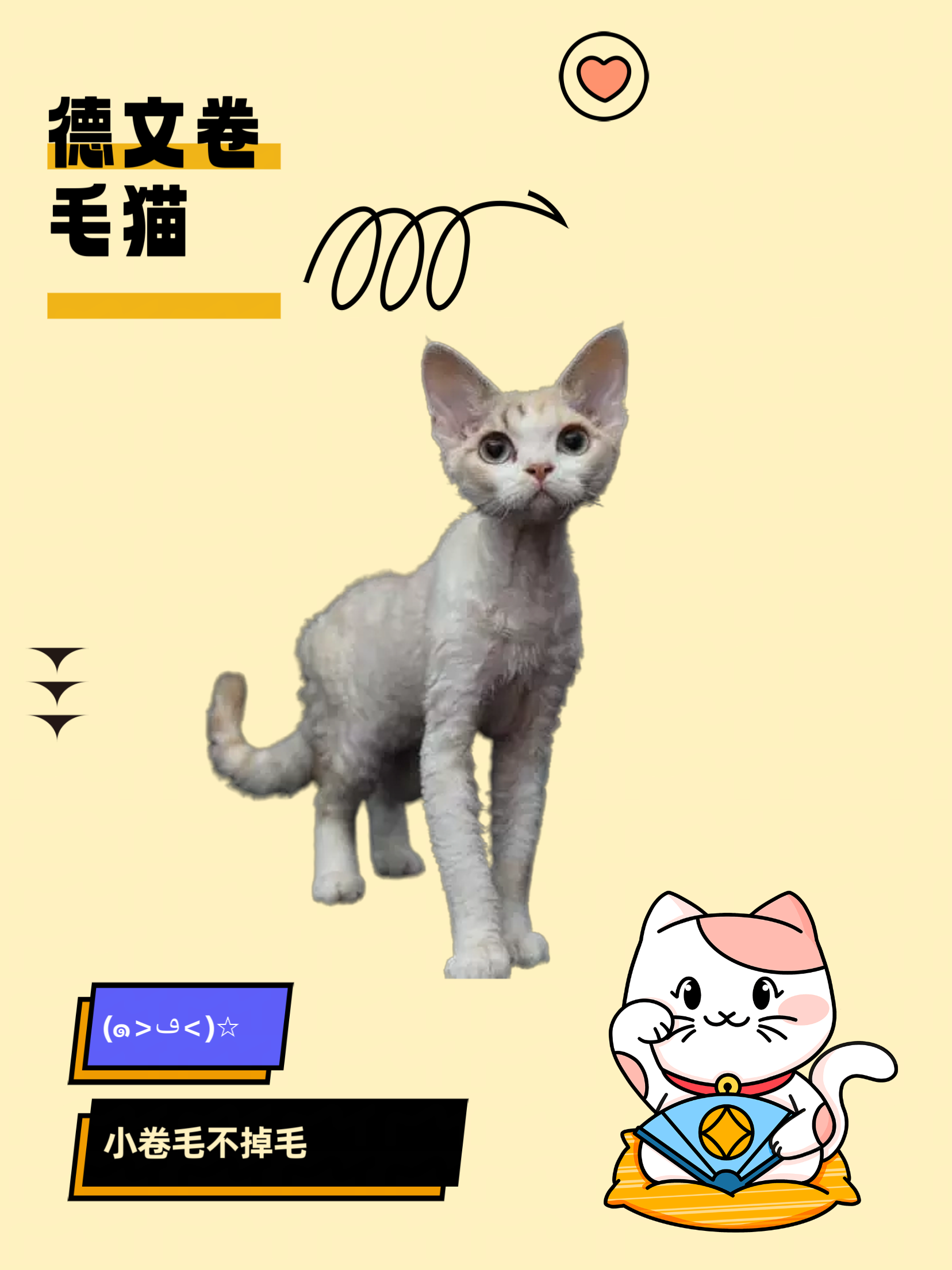探索猫色综合网，一个充满乐趣与知识的在线平台