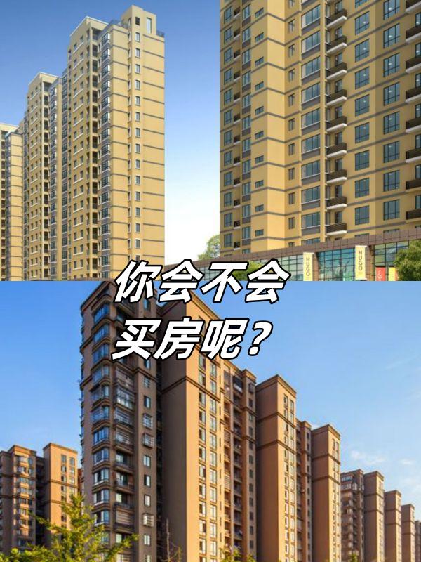 中文在线12月1日快速反弹——市场复苏的信号与展望-第3张图片