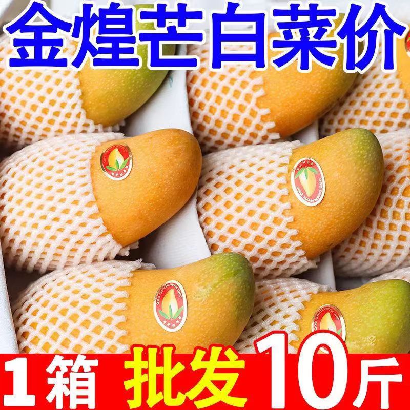 品味多彩芒果盛宴——芒果精品1区至4区详解