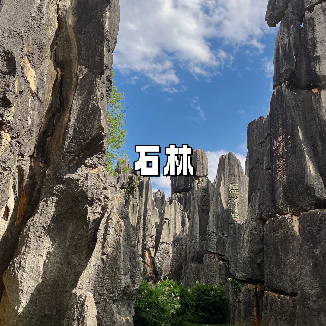 卧龙传说电影卧龙传说，一段历史的神秘篇章-第1张图片