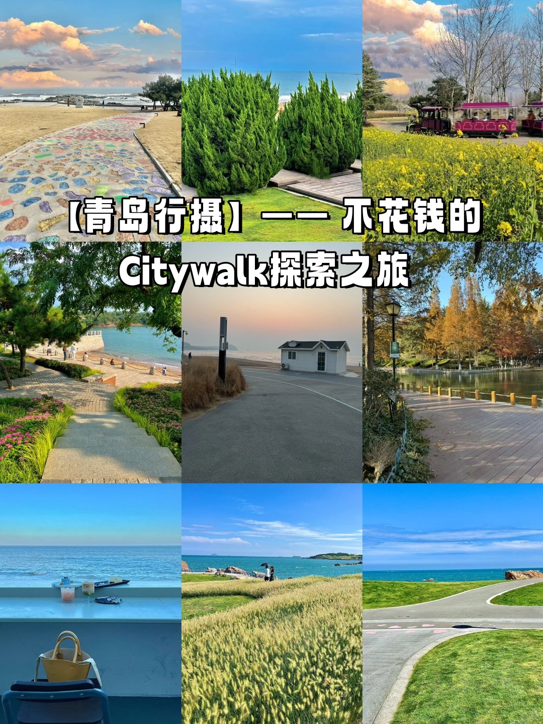 樱花官方正版官网的入口樱花官方正版官网的入口探索之旅-第1张图片