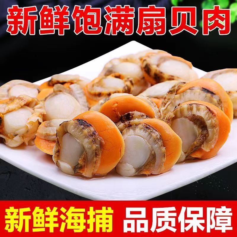 小东西你下面的扇贝真好喝小东西的独特美味——品味扇贝的独特滋味