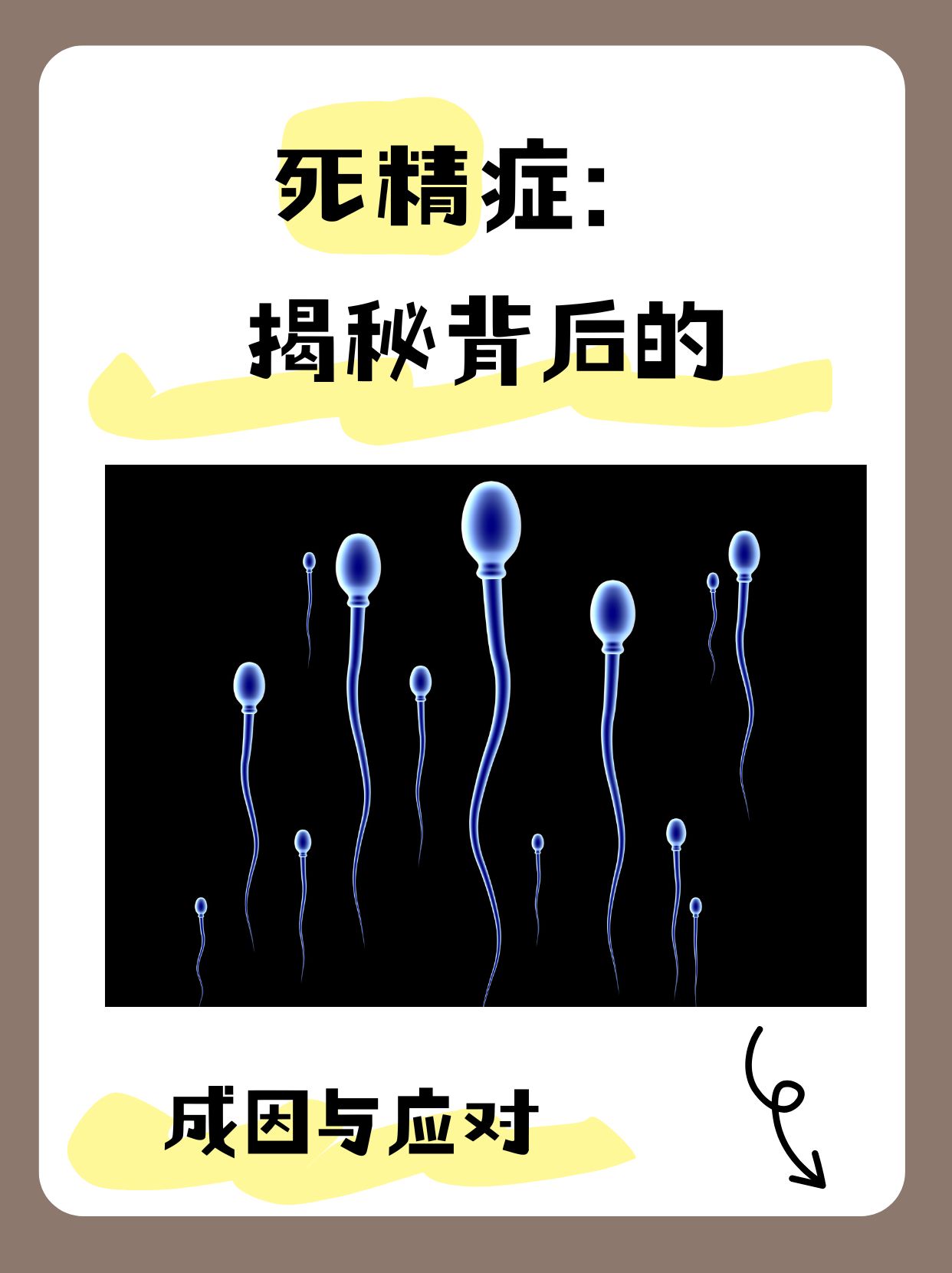 男性生殖图关于男性生理特征的图片探讨