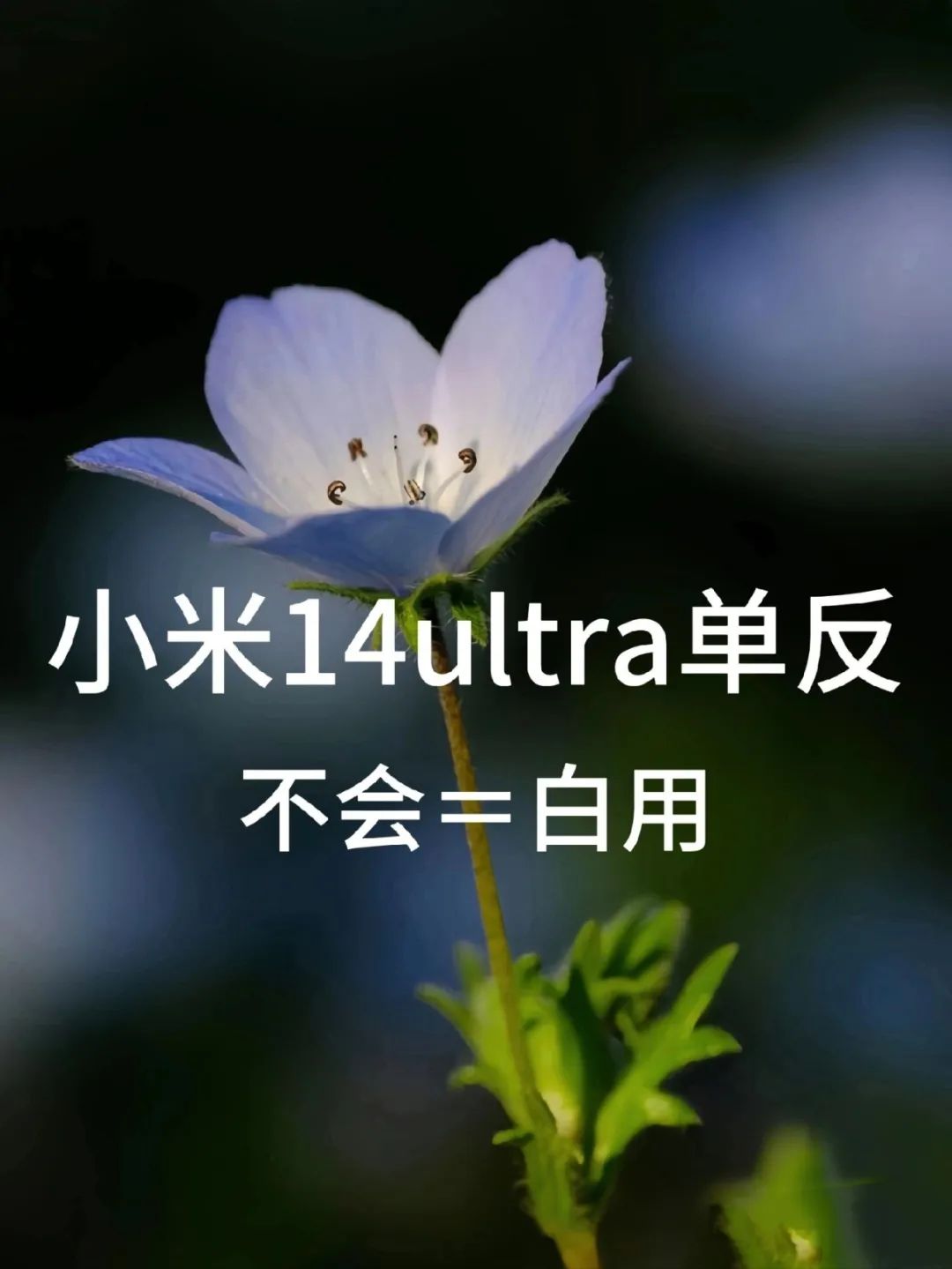 再深点灬舒服灬太大了嗯深入探索，极致的舒适与震撼