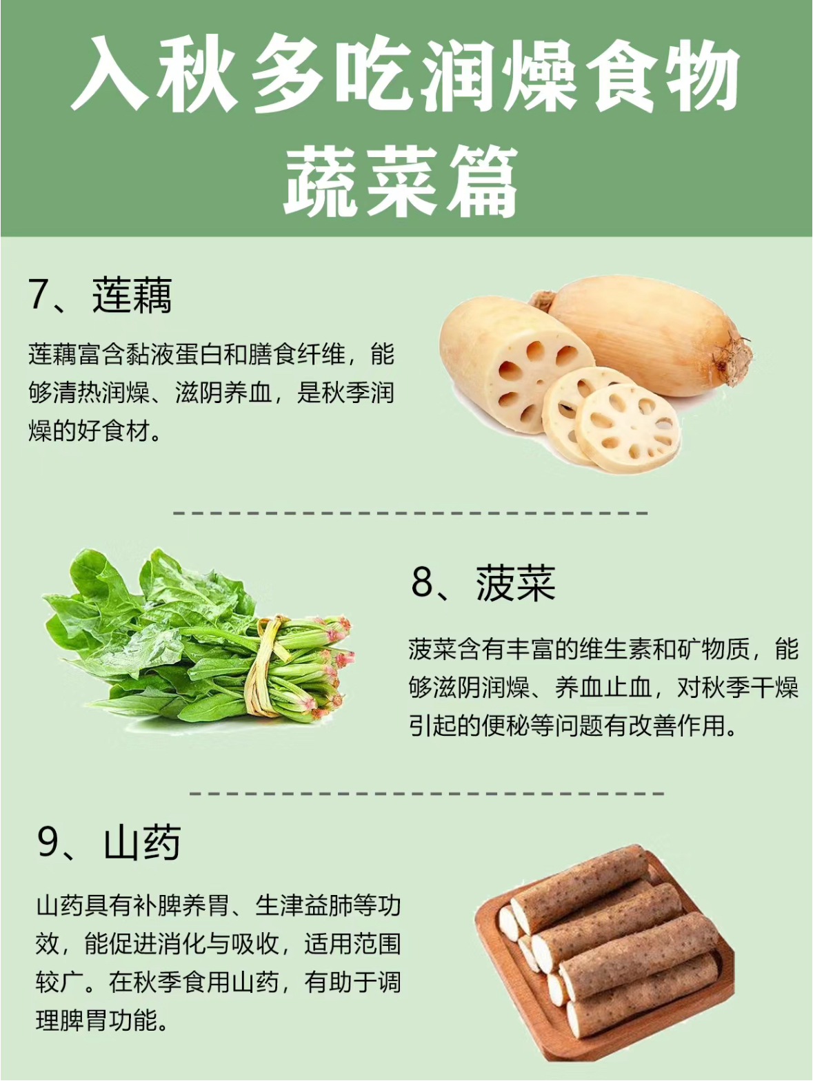 解析香蕉、秋葵、菠萝蜜、黄瓜与丝瓜的异同-第2张图片