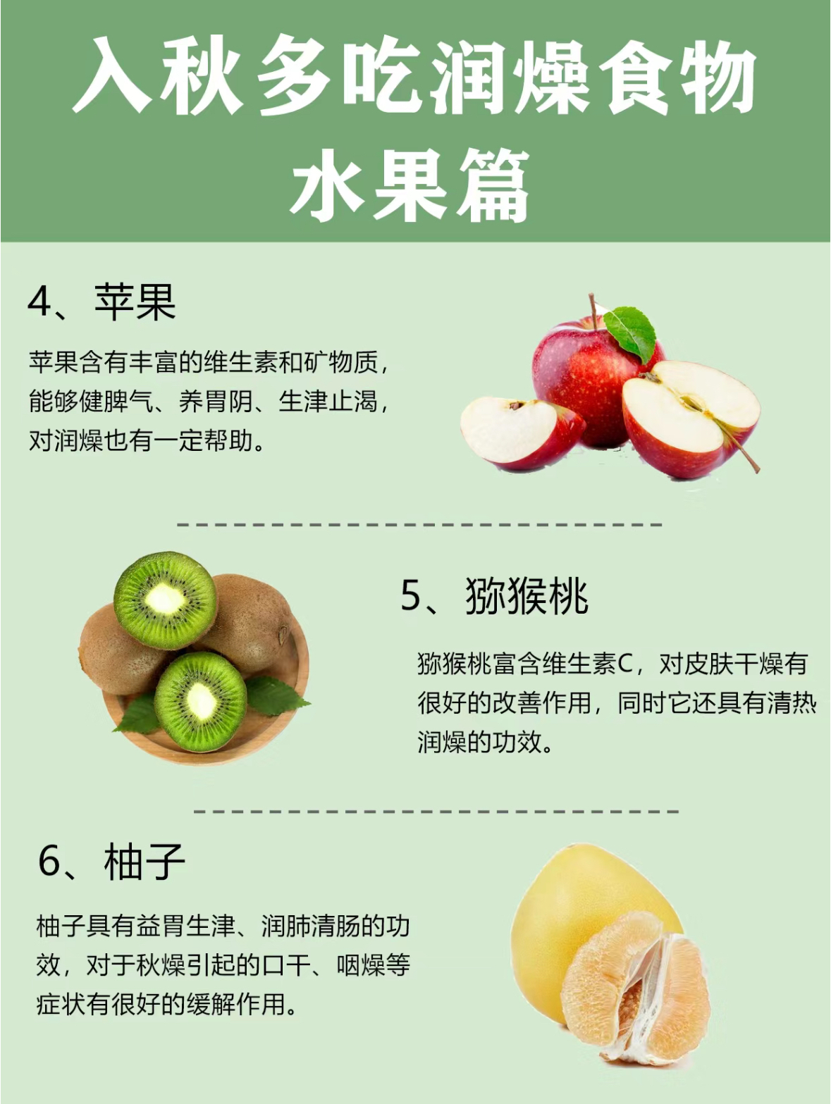 香蕉秋葵菠萝蜜黄瓜丝瓜的区别水果与蔬菜的独特魅力，香蕉、秋葵、菠萝蜜、黄瓜与丝瓜的区别-第2张图片